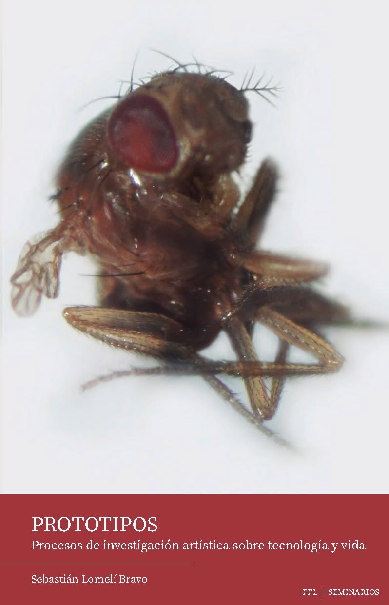 Prototipos
